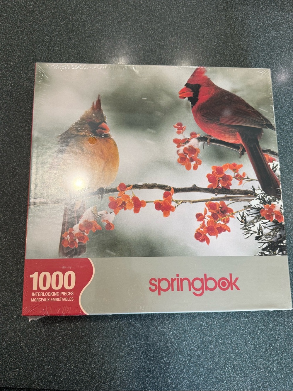 Springbok Puzzle 1000 Piece Cardinal Couple  24" x 30" Complete New Sealed